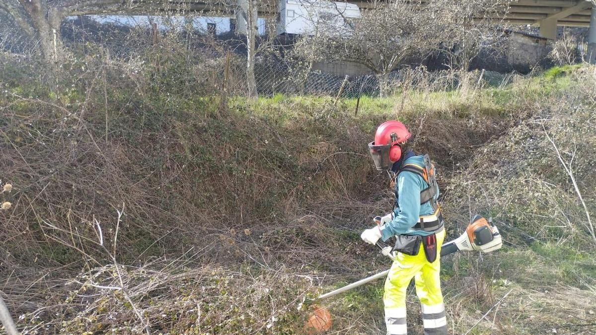 Bierzo incendios