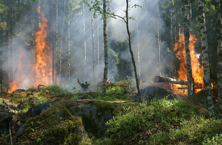 Espanya incendis forestals