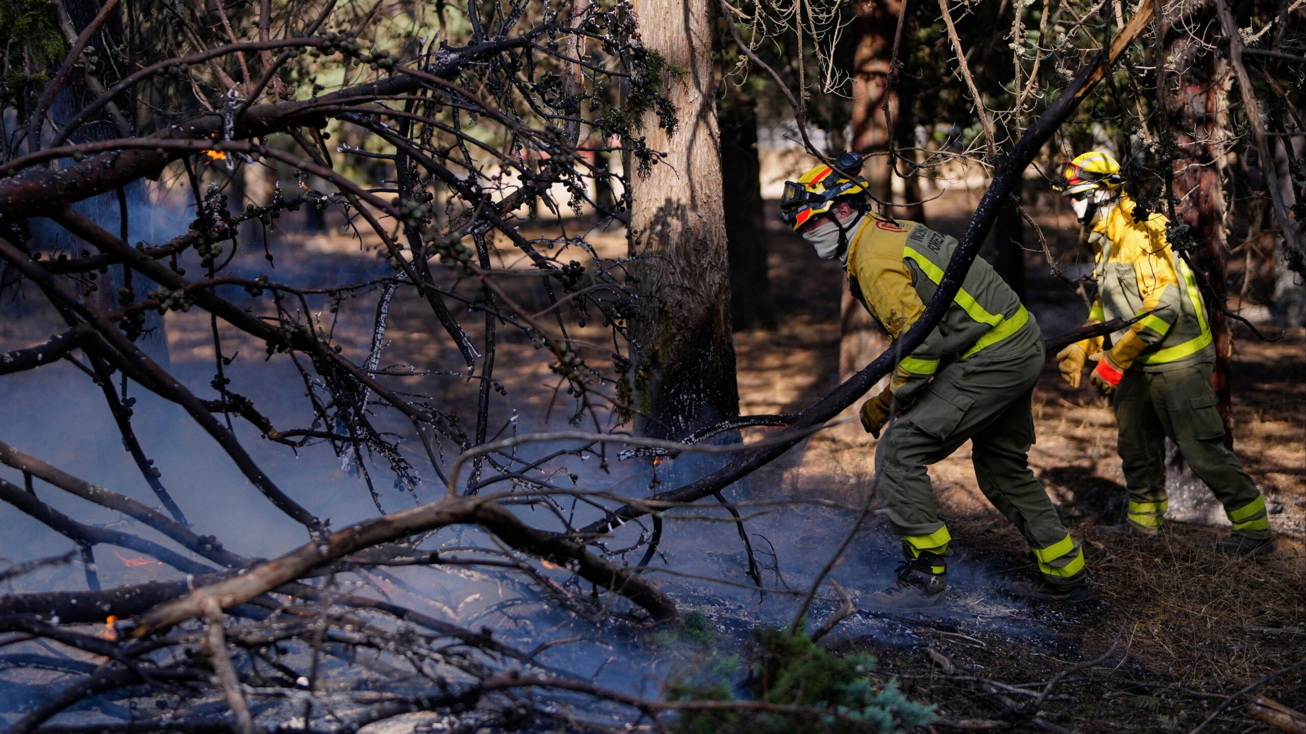 Madrid incendi, incendi forestal