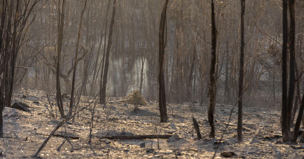 Espanya crema: darrera hora dels incendis a Huelva, Segòvia i altres punts del país