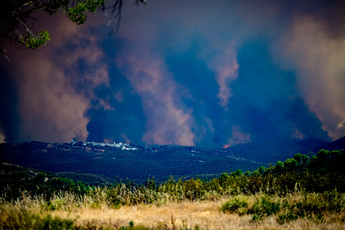 Evacuació de Los Madroños (Sevilla) a causa de l'incendi de Niebla (Huelva), que està "fora de capacitat d'extinció"