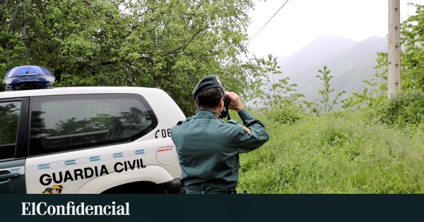 Lleó a la Fuga a la Serra de San Vicente (Toledo): La Guàrdia Civil Desplega un Ampli Operatiu amb Drons i Helicòpters